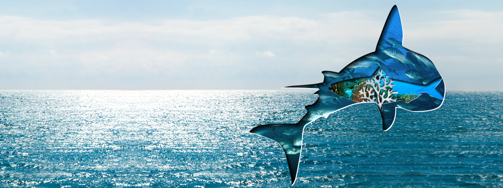 bio banner