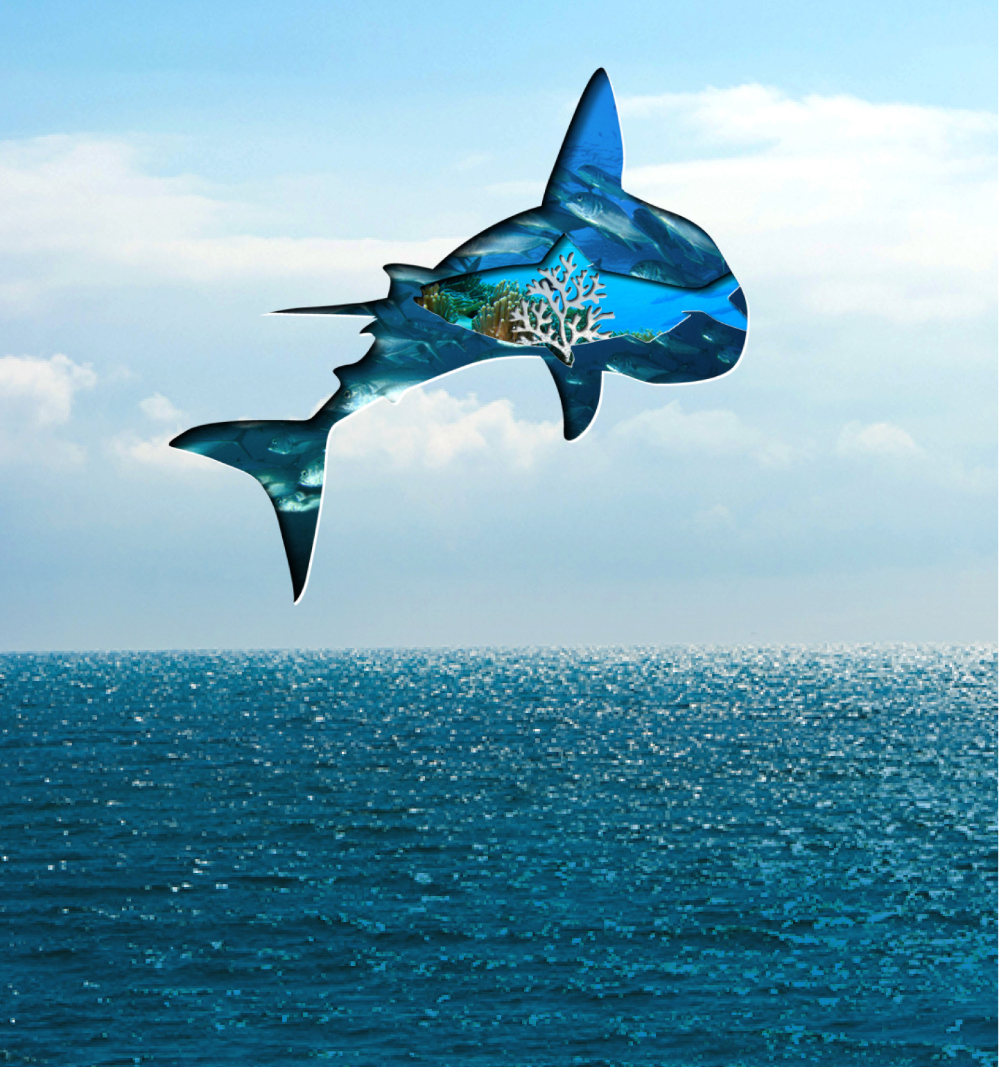 bio banner