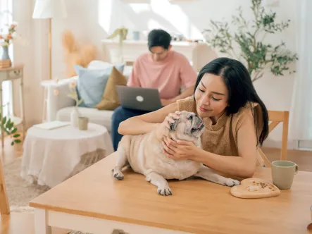 ประกันภัยบ้าน MSIG My Home Safe