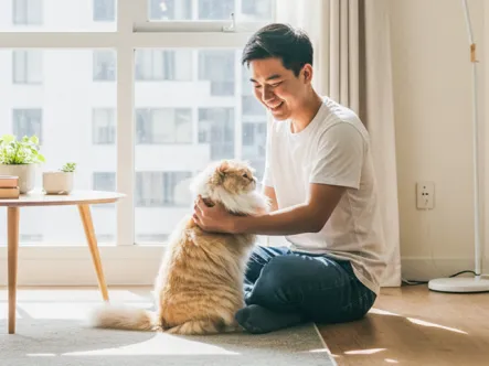 ประกันภัยบ้านแทนรัก กรอกโค้ด H10 รับส่วนลด 10%